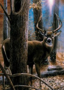 Tree Free Tree Free Greeting Card Woodland Sentry Buck