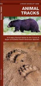 Animal Tracks